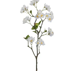 Apfelblütenzweig APFELBLÜTE-Gasper Discount