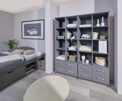 Bibliothèque ELENZIO-Inter Link Clearance