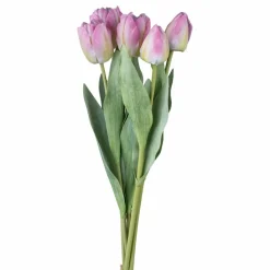Bouquet de 5 tulipes TULPE