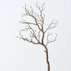 Branche décorative ASTRA-Boltze