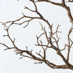 Branche décorative ASTRA-Boltze