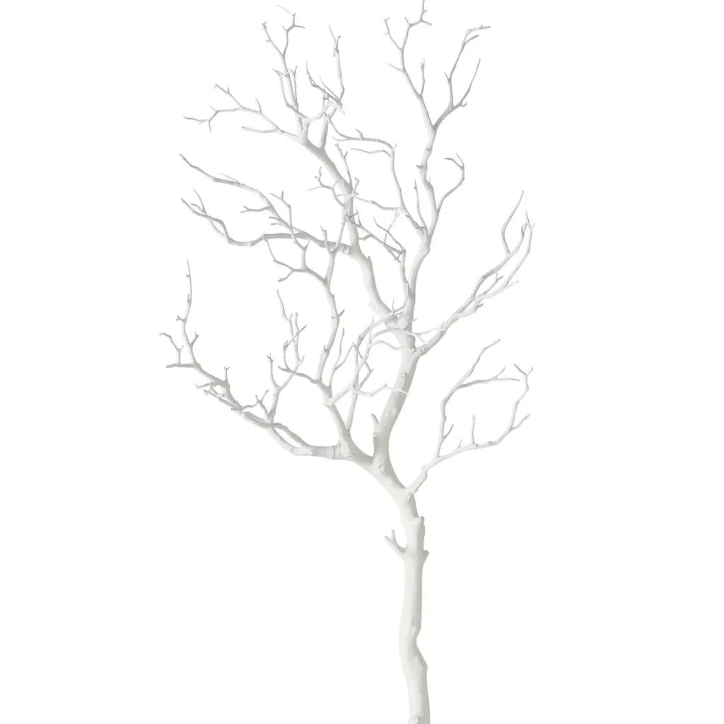 Branche décorative ASTRA-Boltze Sale