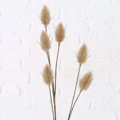 Branche décorative SAMTGRAS