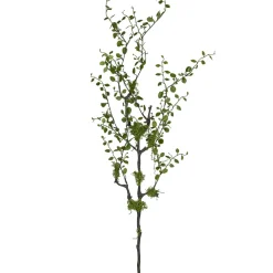 Branche de Muhlenbeckia FLOWERS