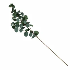 Branche d'eucalyptus FLOWERS-Boltze New
