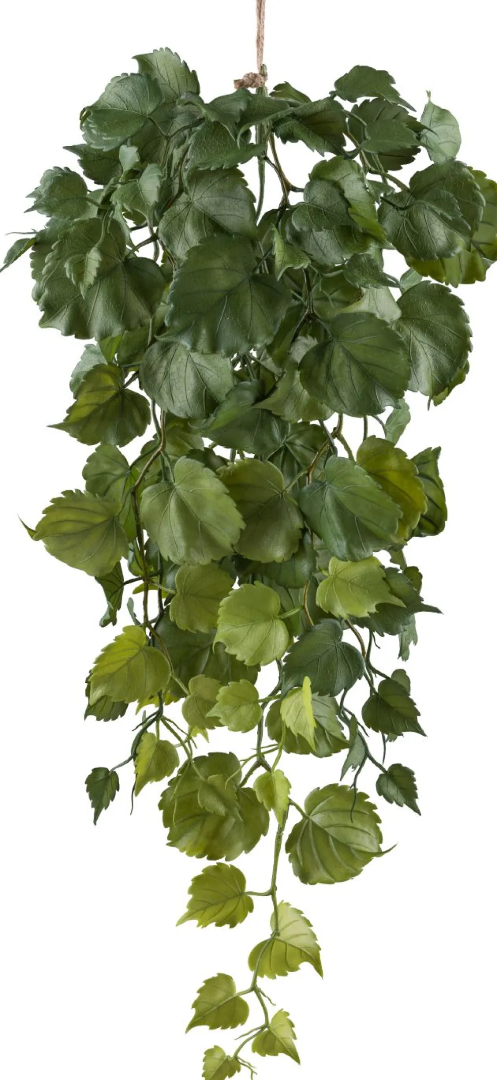 Branches de tilleul tombantes FLOWERS