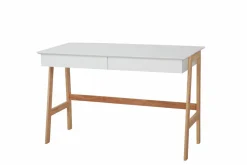 Bureau LÖWEN-Möbilia Online