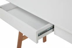 Bureau LÖWEN-Möbilia Online