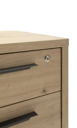 Caisson à roulettes DISEGNO-Composad