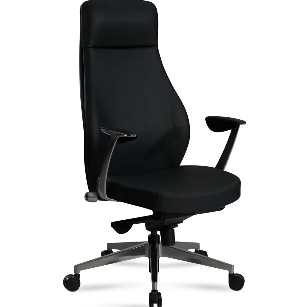 Chaise de bureau ARCAHAIE-Skyport Outlet