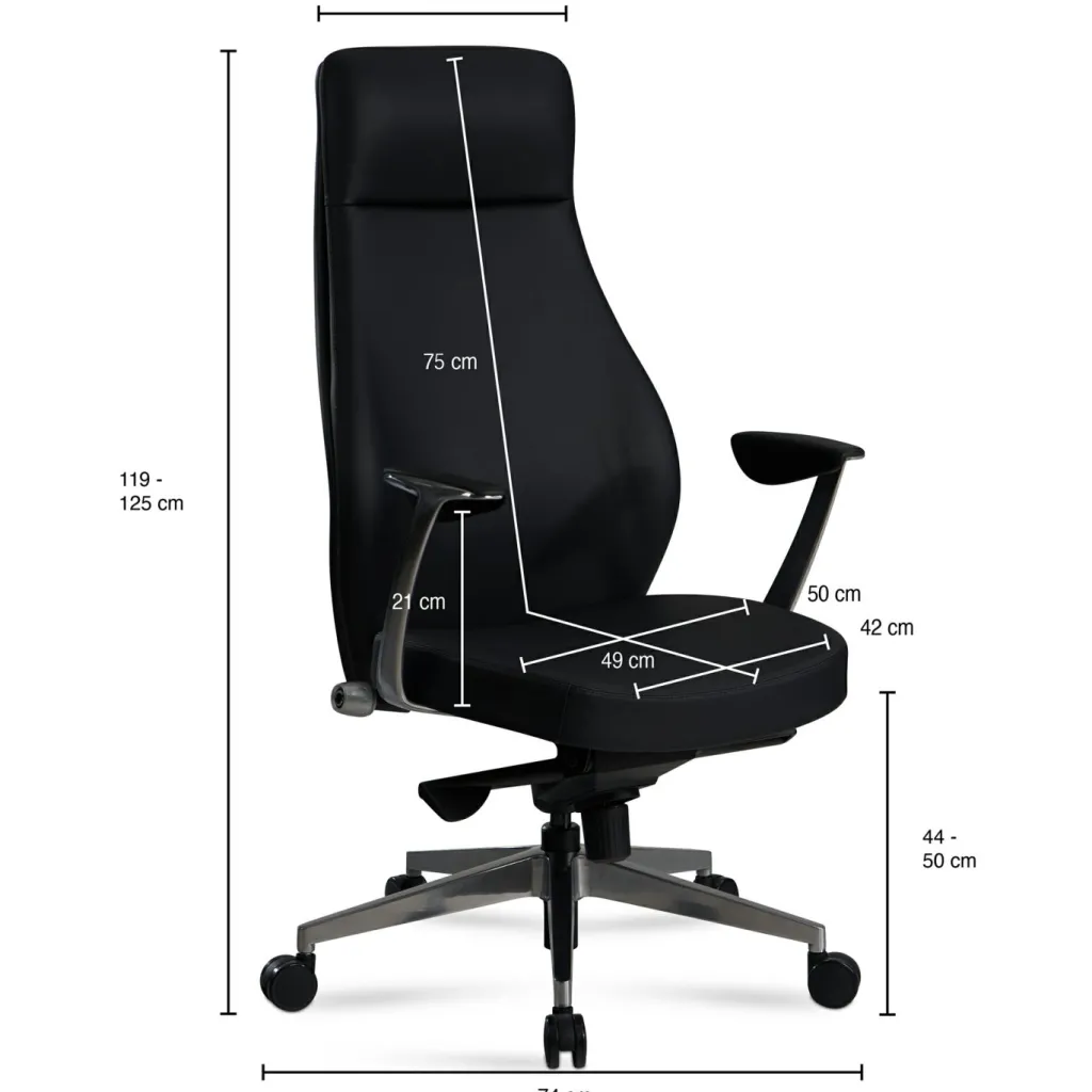 Chaise de bureau ARCAHAIE-Skyport Outlet