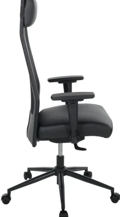 Chaise de bureau AUERBERG-Duo Hot