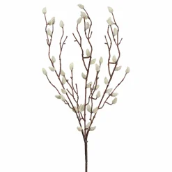 Chaton de saule FLOWERS