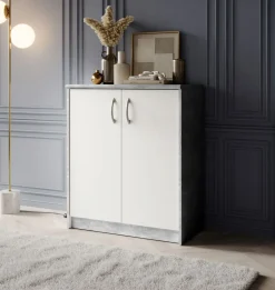 Commode 1 OPTIMUS-Bega Consult Online