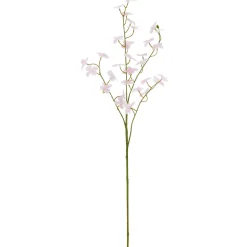 Cornuszweig REAL TOUCH