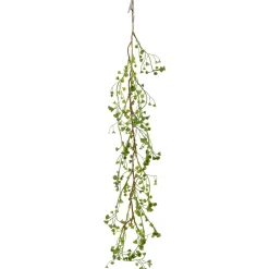 Euphorbiaclip EUPHORBIA