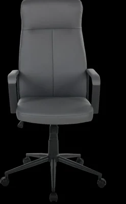 Fauteuil de direction ARICA-Duo Online