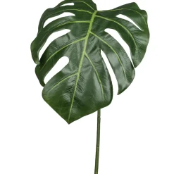 Feuille de philodendron FLOWERS-Gasper Discount