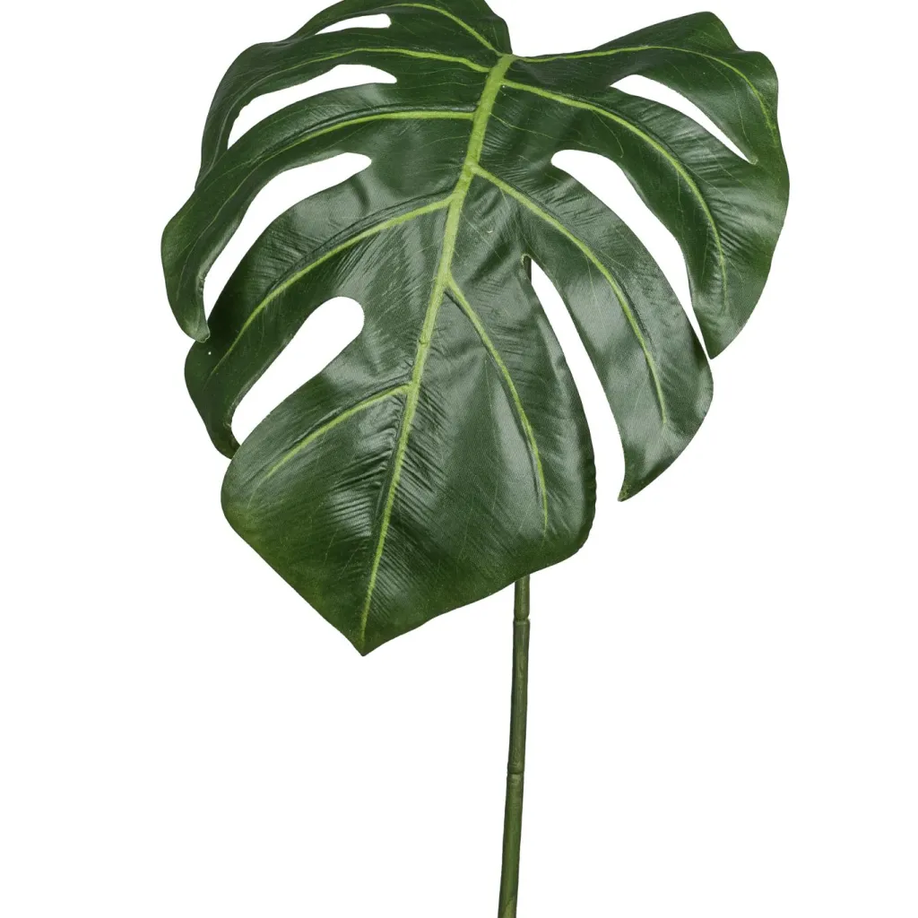 Feuille de philodendron FLOWERS-Gasper Discount
