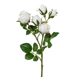 Fleur décorative POLYANTROSE