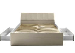 Lit CARANO-Pol-Power Best