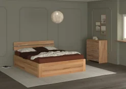 Lit COLON-Modular Hot