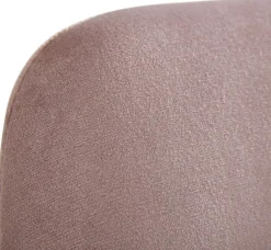 Lot de 2 chaises de salle à manger WOHNLING