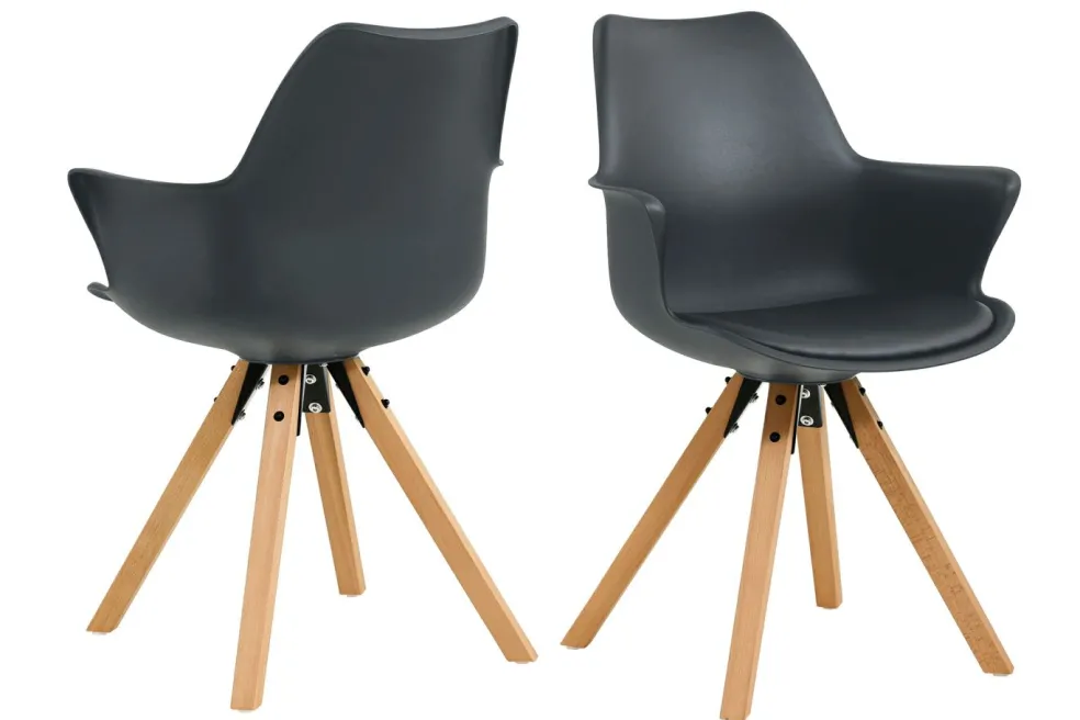 Lot de 2 chaises EGON