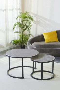 Lot de 2 tables basses C680