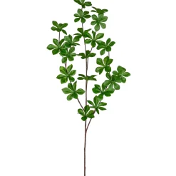 Louisianazweig LOUISIANA-Gasper Outlet