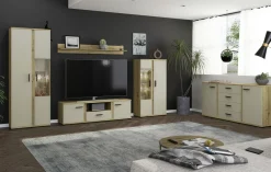 Mur TV KANADA-Bega Consult Clearance