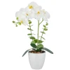 Orchidee im Topf REAL TOUCH-Gasper Hot