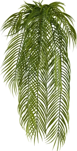 Palmier avec feuilles tombantes FLOWERS-Gasper