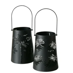 Photophore PALMERA-Boltze Discount