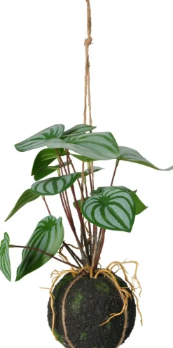 Plante à suspendre 30cm BOTANIC