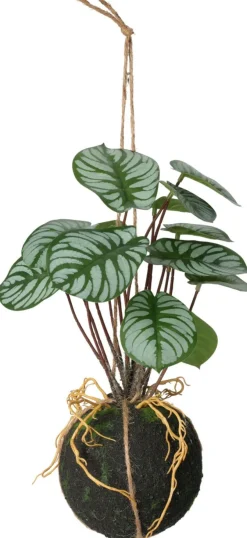 Plante à suspendre 30cm BOTANIC