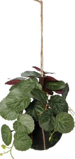 Plante à suspendre 30cm BOTANIC