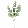 Plante artificielle branche d'eucalyptus EUKALYPTUS