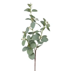Plante artificielle branche eucalyptus EUKALYPTUS-Gasper Best