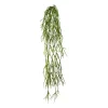 Plante artificielle RHIPSALIS-Gasper Discount