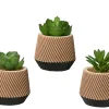 Succulente en pot DEKO