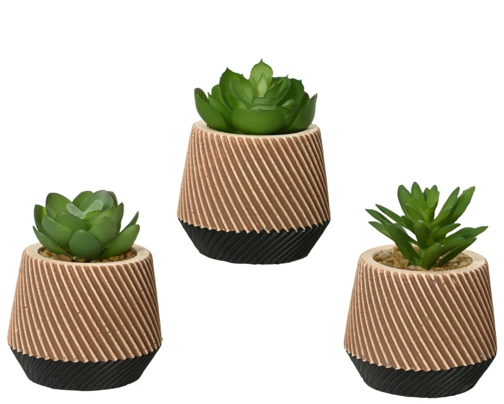 Succulente en pot DEKO