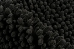 Tapis de bain FLUFFY-Lalee New