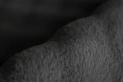 Tapis HAILEY 125-Kayoom Outlet