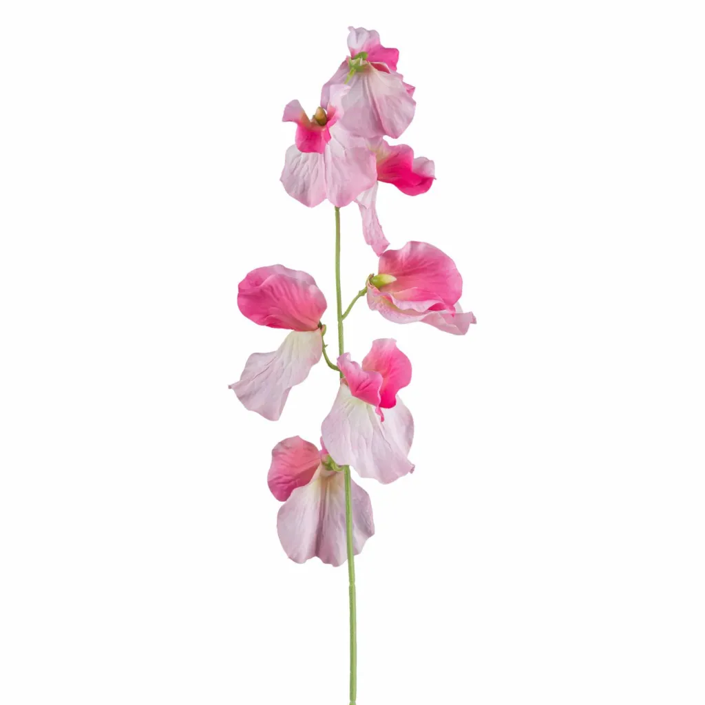 Vesce FLOWERS-Gasper Outlet